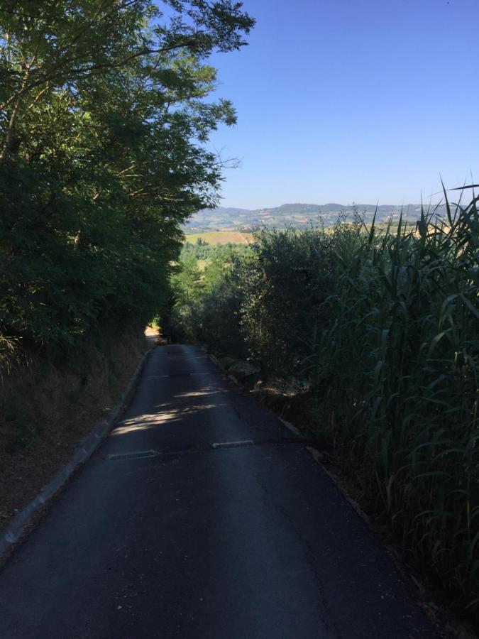 Casa Natura San Gimignano Kültér fotó